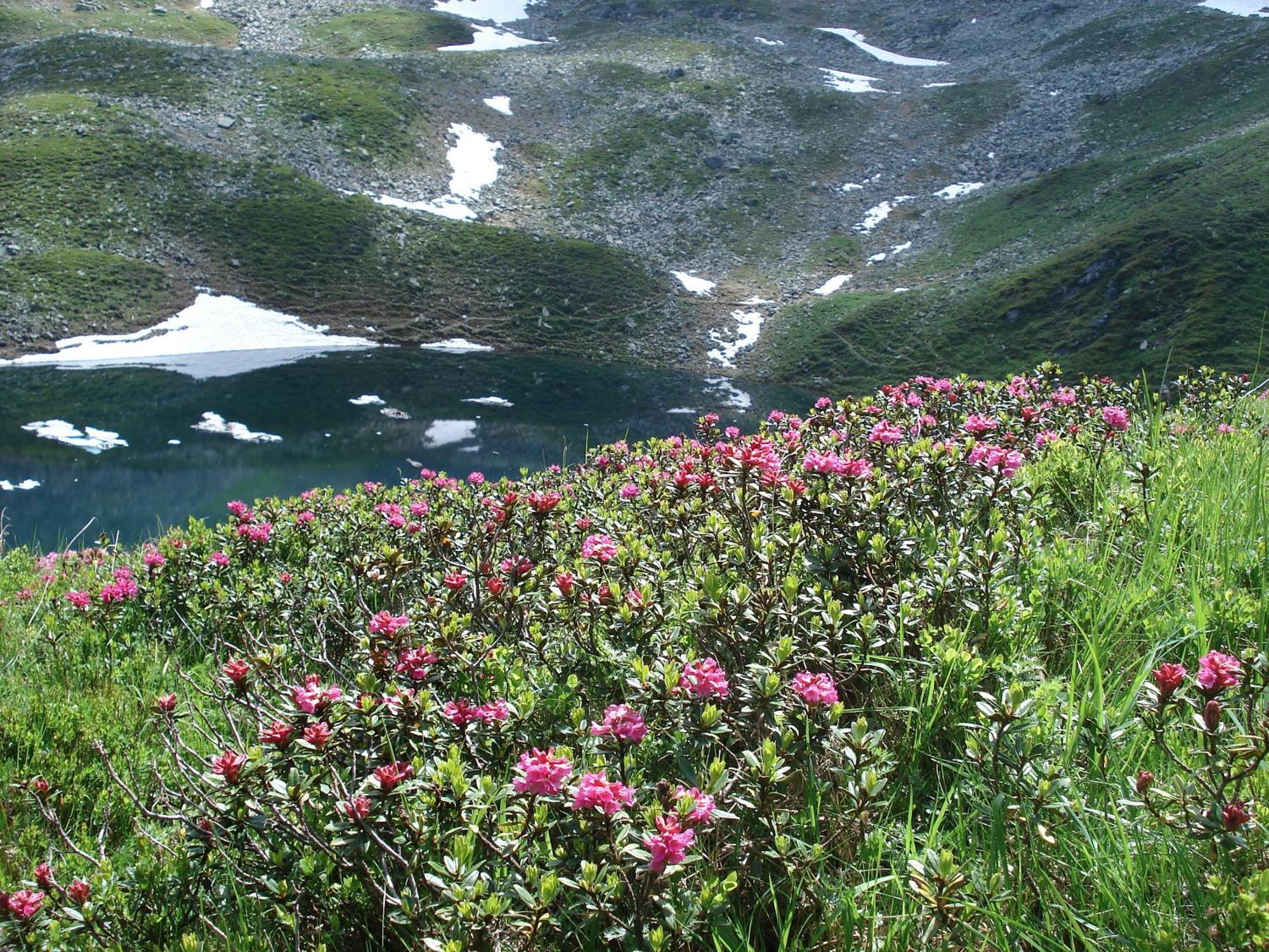 Wanderhotel Kirchner Bramberg am Wildkogel Eksteriør bilde